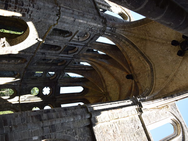 Abbaye_de_Villers