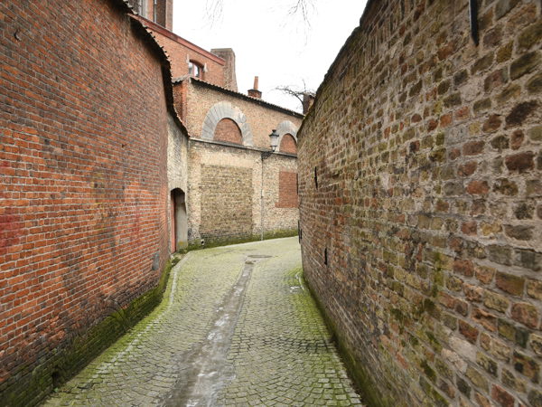 Bruges_Feb14_2021