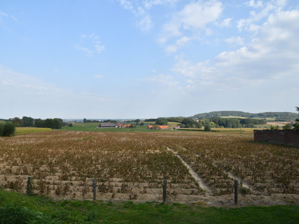 Flanders_Fields_September19_2020