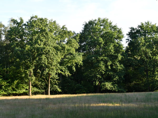 horst_kesselberg_31Jul2020
