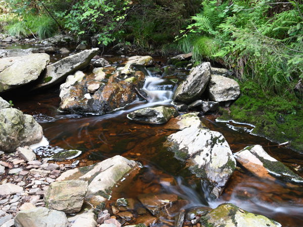 Ardennes_Bayehon_July2020