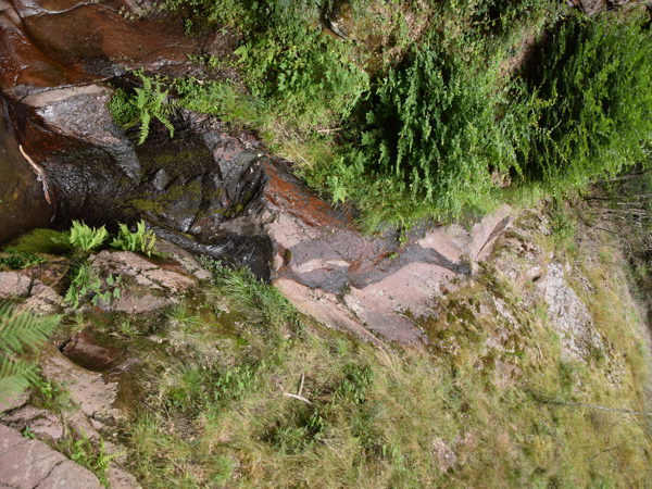 Ardennes_Ninglingspo_July2020