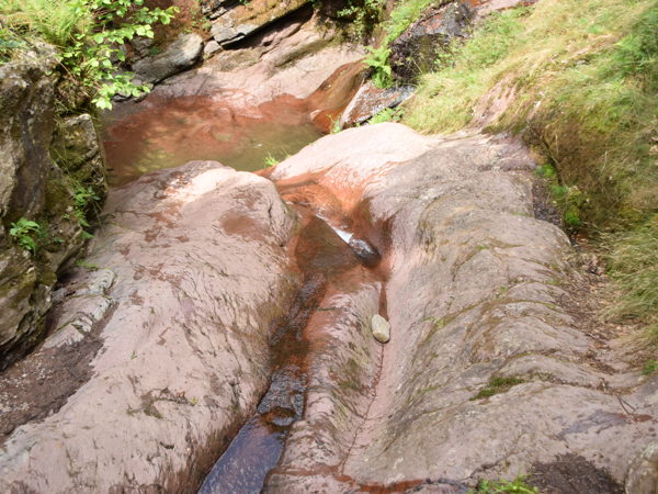 Ardennes_Ninglingspo_July2020