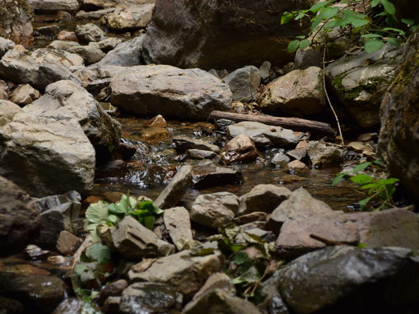 Ardennes_Ninglingspo_July2020