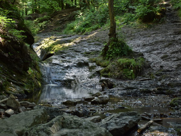 Ardennes_Ninglingspo_July2020