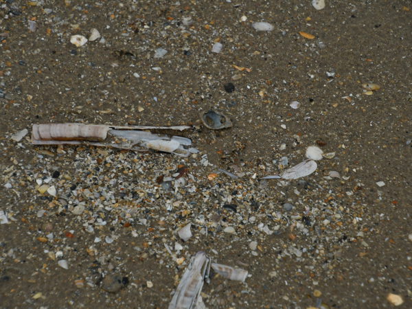 De_Panne_Beach_31_Oct_2020