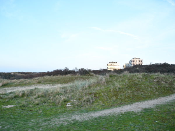 De_Panne_Nov_07_2020