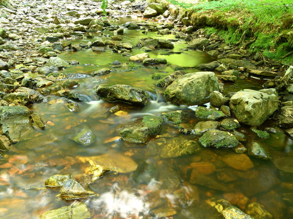 Hoegne_Ardennes_01Aug2020