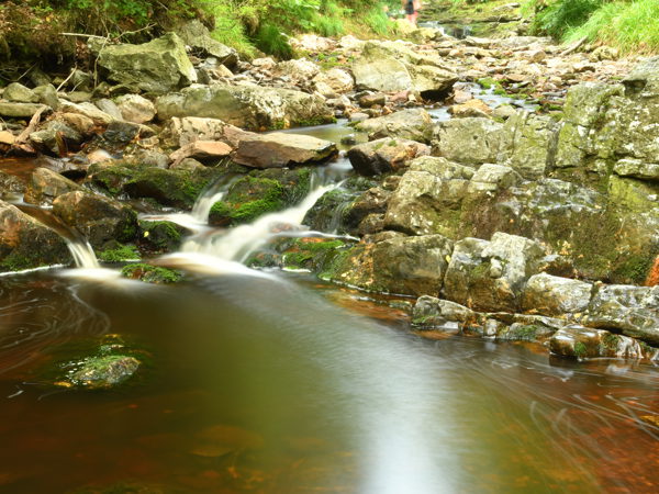 Hoegne_Ardennes_01Aug2020