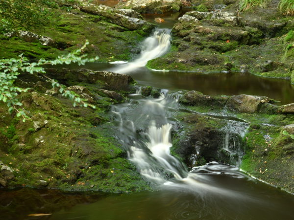 Hoegne_Ardennes_01Aug2020