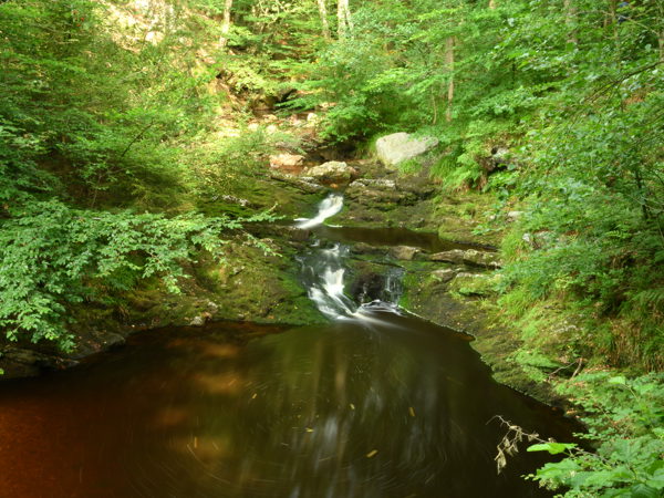 Hoegne_Ardennes_01Aug2020
