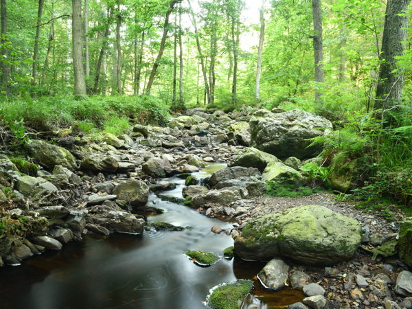 Hoegne_Ardennes_01Aug2020