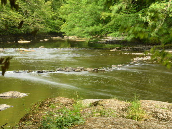 Le_Herou_Ardennes_25July2020