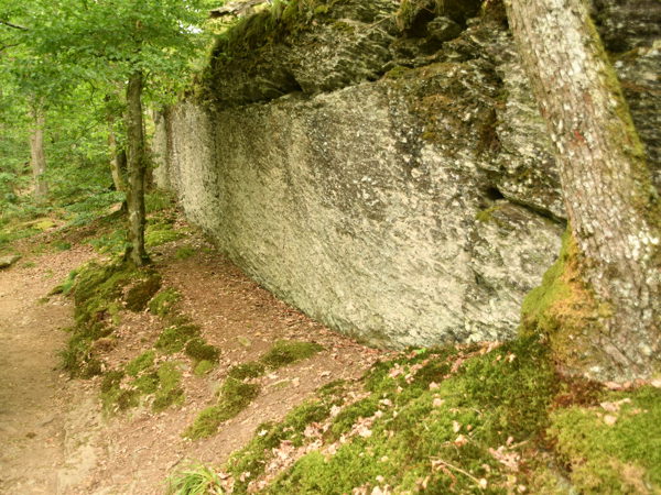 Le_Herou_Ardennes_25July2020
