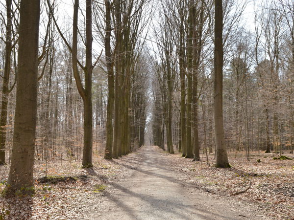 Woods-04Apr15