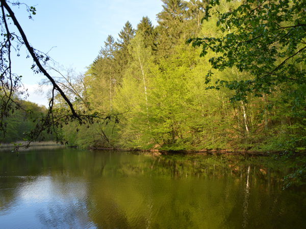 Woods01May15