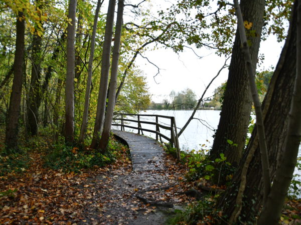 Zoete_Waters_Nov_01_2020