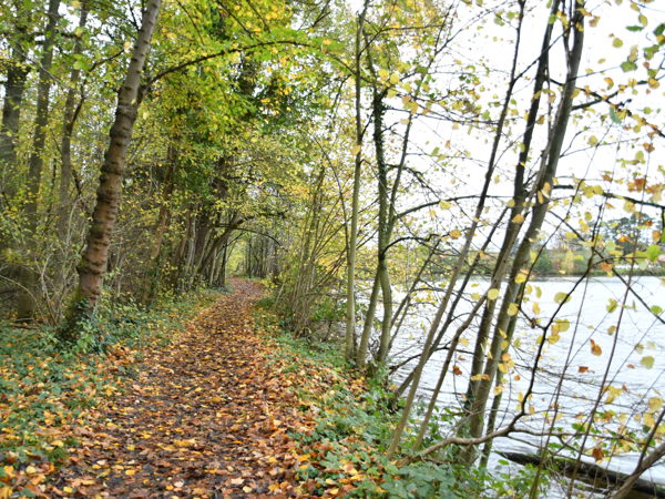 Zoete_Waters_Nov_01_2020